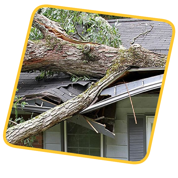 Storm Damage Repairs by Wrexham Local Roofer